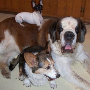 Meet your Posher, Robin